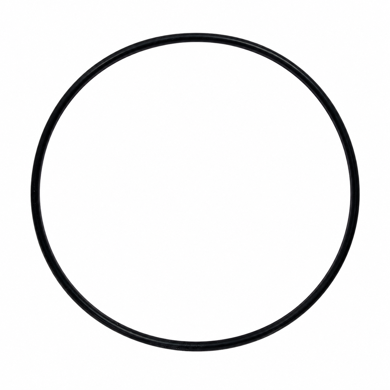 O-Ring, 250